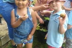 Showing off the potato crop from the Ridgeway Playgroup garden